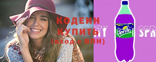 СК Бронницы