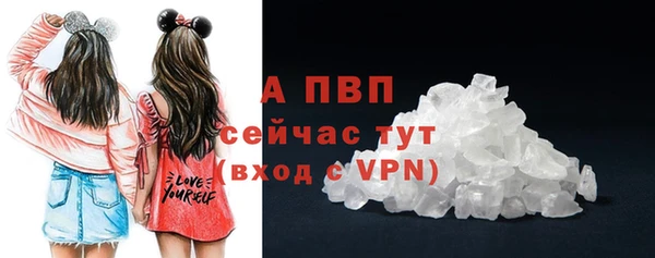 таблы Бородино