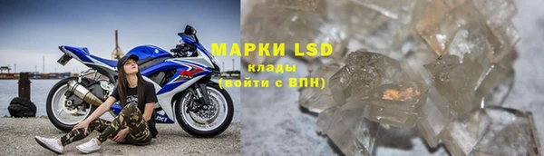 СК Бронницы