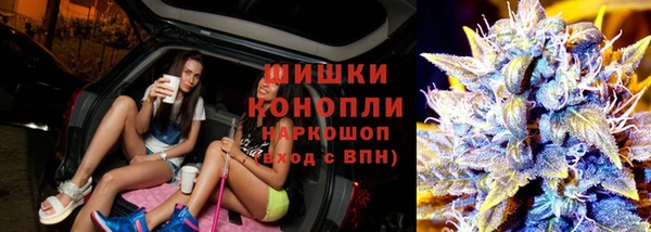 таблы Бородино