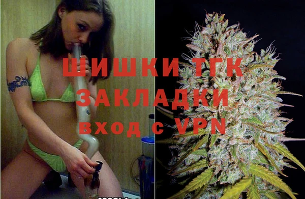 таблы Бородино