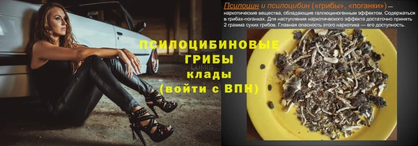 бошки Бугульма
