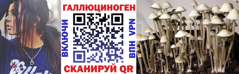 Галлюциногенные грибы прущие грибы  Ильский 